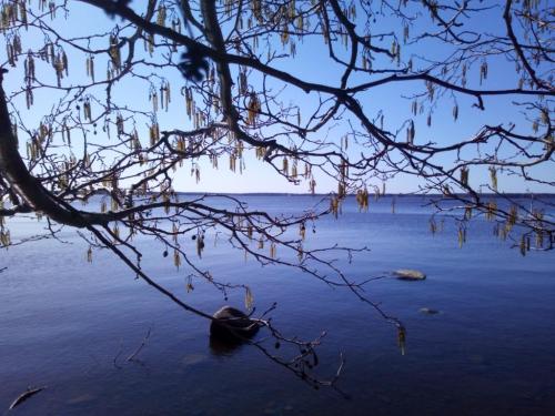 ������� ��������