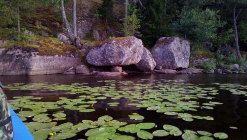 ����� ��������