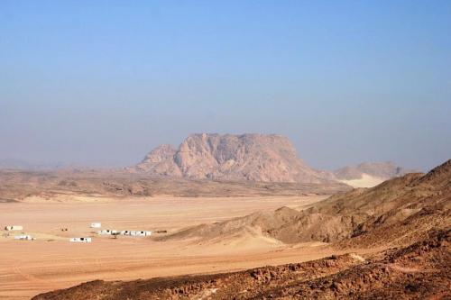 ���� ������