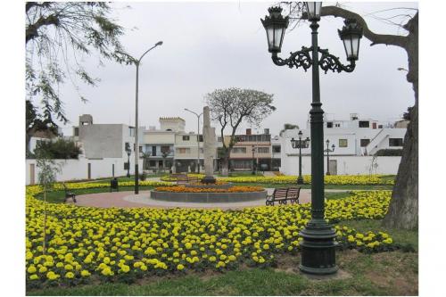 ����� ������� � ������ ����